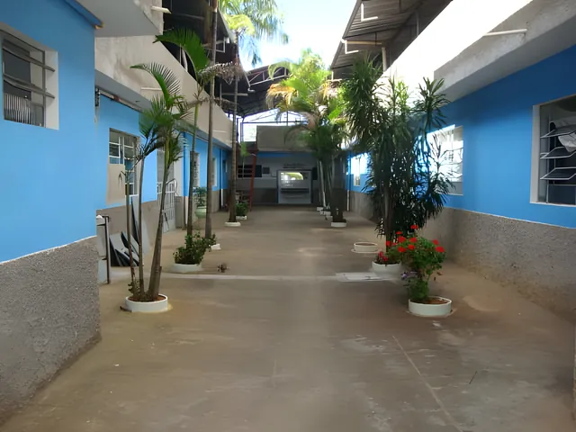 Foto real: corredor entre os alojamentos da Colônia, com paredes azuis e plantas em vasos