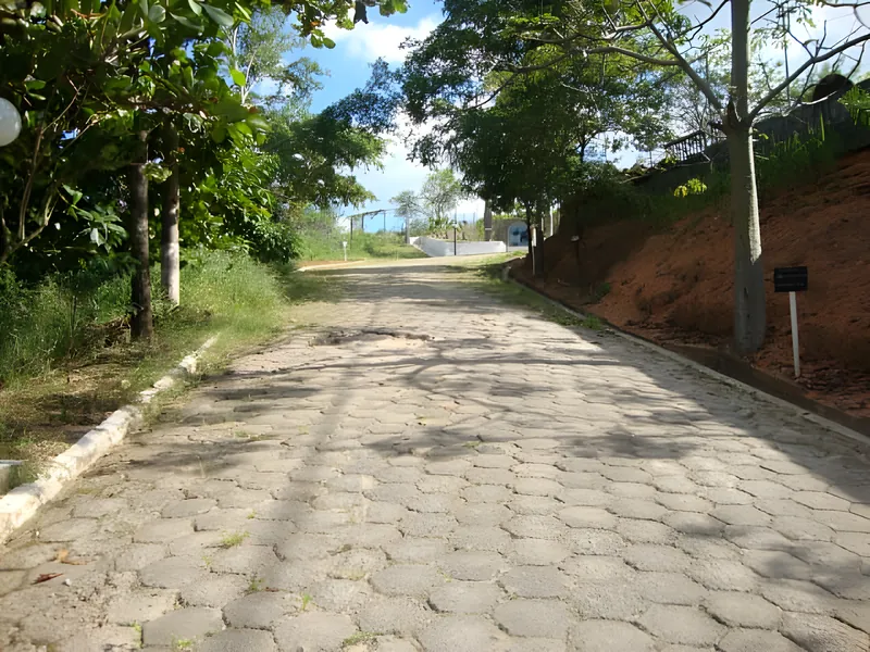 Foto real: caminho calçado com pedras sextavadas, sob a sombra de árvores, na Colônia